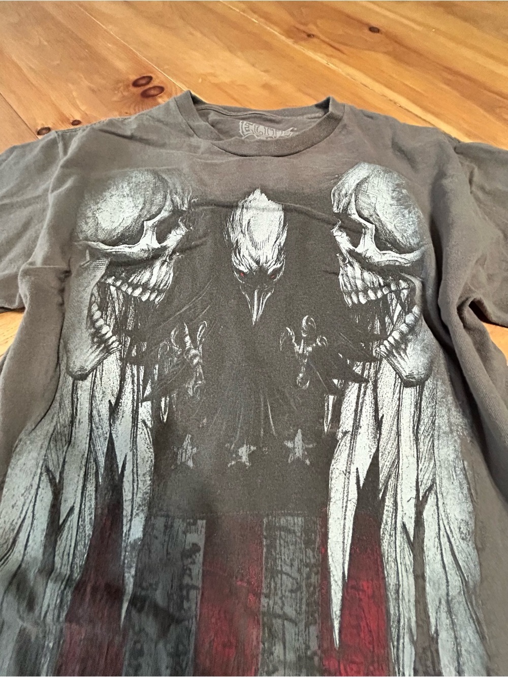 Gray Graphic Short Sleeve Tee with Skull & Raven Motif
